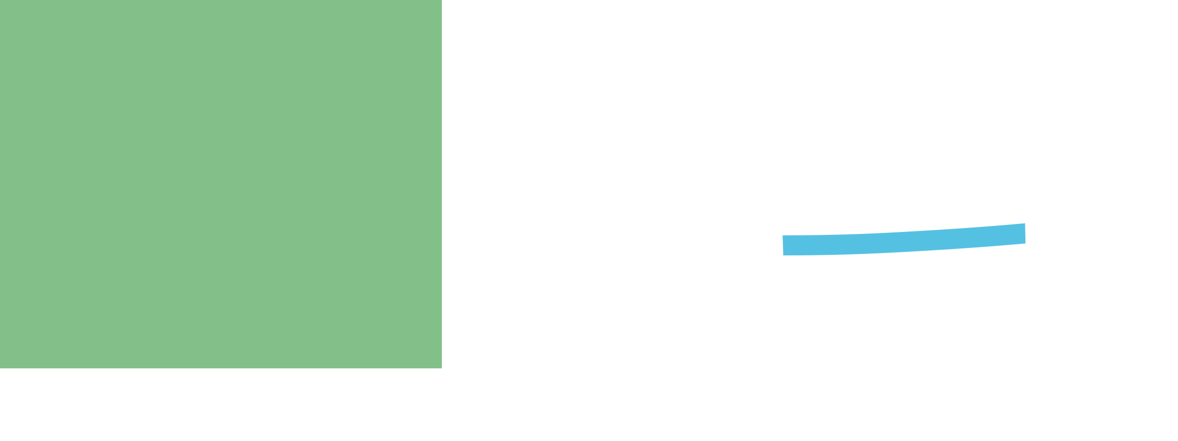 Protranet Logo